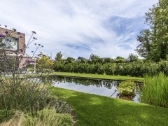 Cools Tuinaanleg bvba Strakke vijver met speelse beplanting