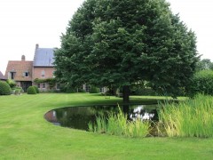 Cools Tuinaanleg bvba